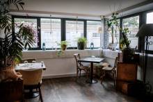 Restaurant pour dîner Le Havre Le diapason